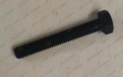 Болт крепления форсунки М8х55 полная резьба WD615/WD10