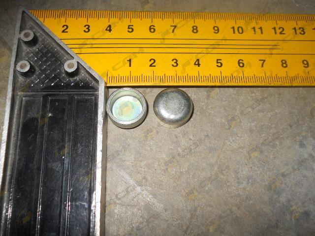 Заглушка чашечная (пробка) блока цилиндров 17х8 (Euro 3) 190003984080